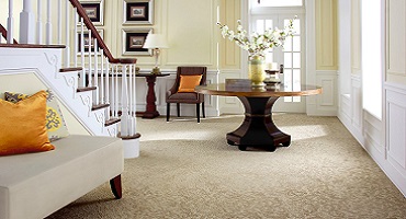 Elegant Wall To Wall Carpets in Dubai
