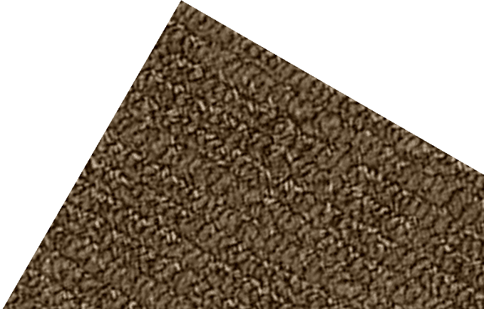 Stylish Wall To Wall Carpets Dubai