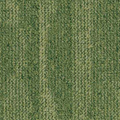 GC-006