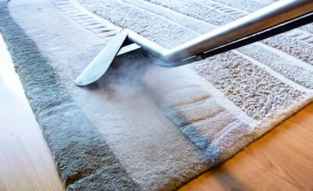 Dehumidifier vs Professional Drying