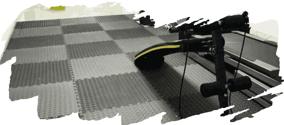 Premium Gym Flooring in Dubai